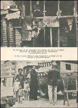 Family cleared from squatter hut and resettled in an estate - page 3 of 4