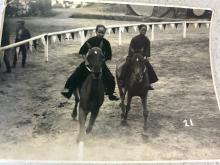 staff at the riding school