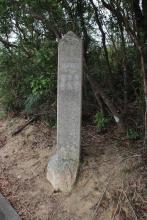 Tai Tam Milestone
