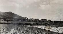 1940s Lei Yuen Water Tower / Pagoda