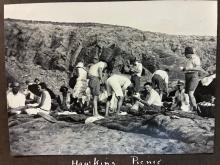 Hawkins picnic