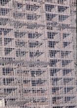 Bamboo scaffolding