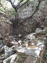 img 9144 0