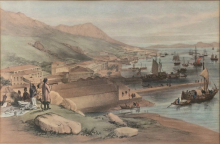 View of Victoria looking west from the garden of the Chief Justice