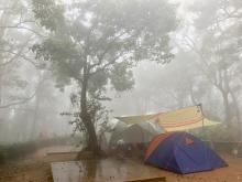 AFCD Rotary Park Campsite Campground Fog