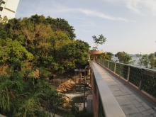 Foot bridge across Waterfall