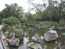 Hutchison Park