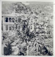 29 Conduit Road ('Sai-Uk') residence of Ho Kom Tong