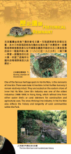 Pamphlet Excerpt of Hoi Ha Wan Marine Park 