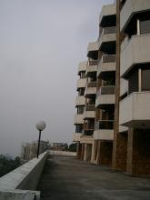 Falconridge - 2005