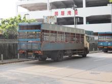 Tsuen Wan Slaughter House