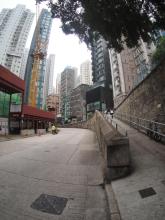 Birds Bridge