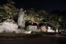 Nan Lian South Garden