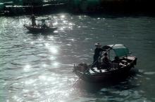 Sampan Rowing at Typhoon Shelter