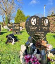 Barbara Yung - But for those who Love - Time is Eternity