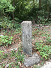 ms 13 tai o road