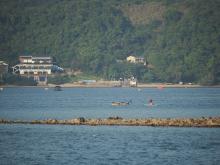 Tso Wo Hang Pier, from Sai Kung Pier