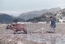19 Ploughing