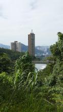 Wong Nei Chung Reservoir