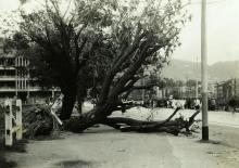 1937 Causeway Road after Typhoon