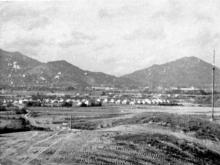 San Wai Camp 1950