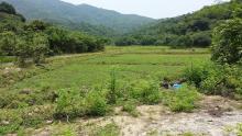 Fields near Lai Chi Wo