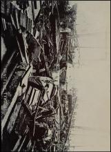 1906 Typhoon