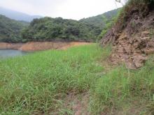 Road cutting to south of ruined bridge in Tai Tam Valley