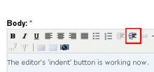 'Indent' button