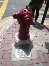 Rediffusion Inspection Cover (small) with Fire Hydrant