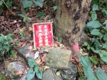 Can anyone translate the plaque? It was beside a tree near Nam Koo
