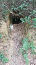 Japanese tunnel on north slope of Beacon Hill - large entrance