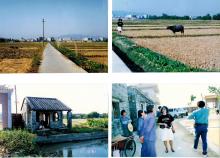 4   Beishan Village, Kaiping, Guangdong - Farms (1991)