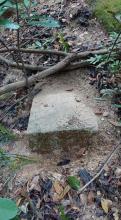 ??Mystery stone near Beacon Hill (May 2 2020)