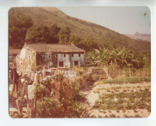 Cheng (Chan) Uk, Nam Chung, 1981.png