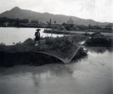 New Territories fishing 1952.