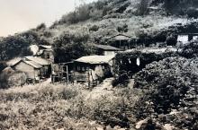 Hillside shacks