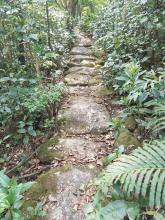Wong Chuk Shan boulder trackway